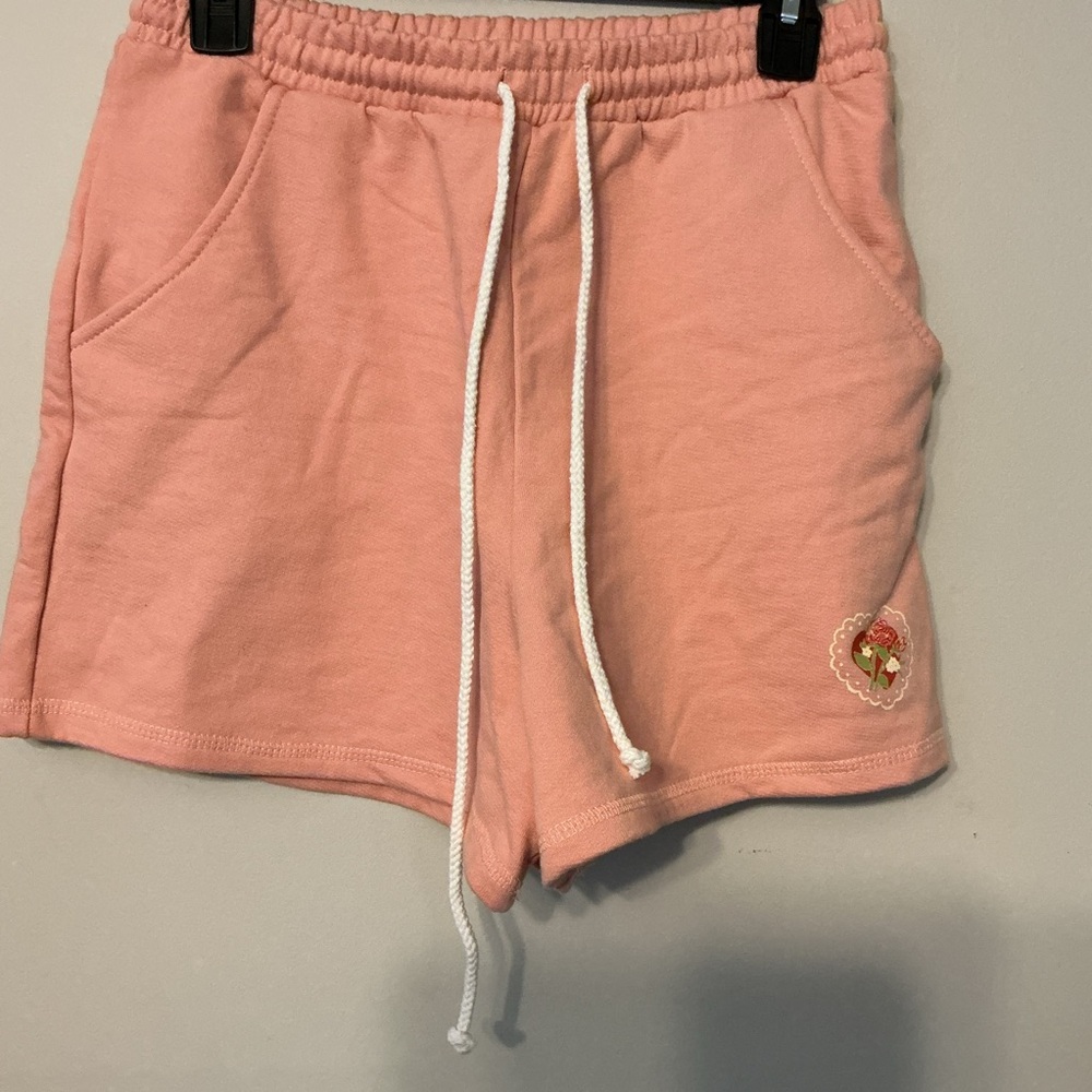 Dippin Daisy’s Shorts